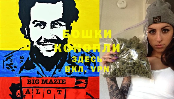 прущие крисы Аркадак