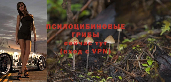 spice Баксан