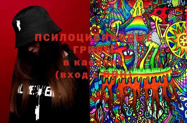 прущие крисы Аркадак