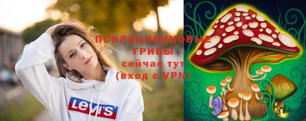 соль курить ск Арсеньев