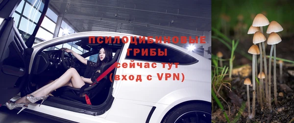 прущие крисы Аркадак